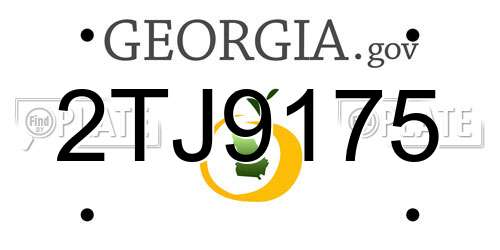 2TJ9175 Georgia License Plate