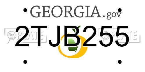 2TJB255 Georgia License Plate
