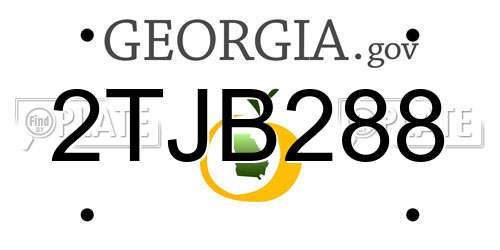 2TJB288 Georgia License Plate