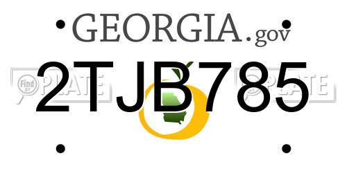 2TJB785 Georgia License Plate