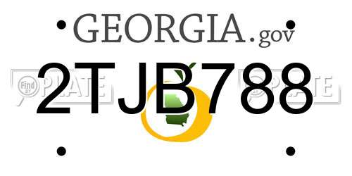 2TJB788 Georgia License Plate