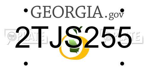 2TJS255 Georgia License Plate