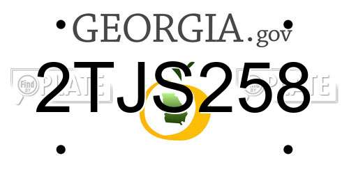 2TJS258 Georgia License Plate