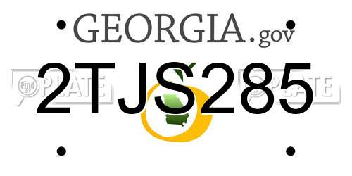2TJS285 Georgia License Plate