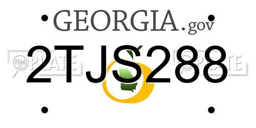 2TJS288 Georgia License Plate