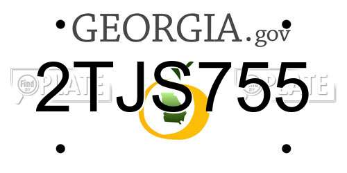 2TJS755 Georgia License Plate