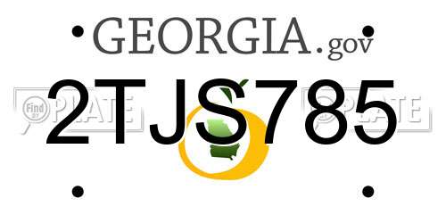 2TJS785 Georgia License Plate