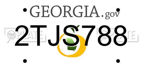 2TJS788 Georgia License Plate