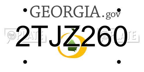 2TJZ260 Georgia License Plate