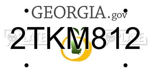 2TKM812 Georgia License Plate