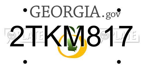 2TKM817 Georgia License Plate