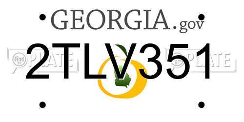 2TLV351 Georgia License Plate