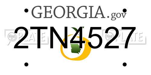 2TN4527 Georgia License Plate