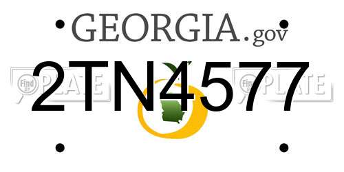 2TN4577 Georgia License Plate