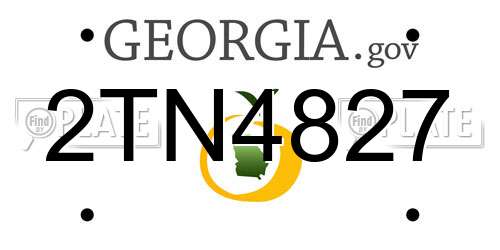 2TN4827 Georgia License Plate