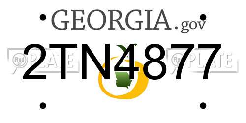 2TN4877 Georgia License Plate