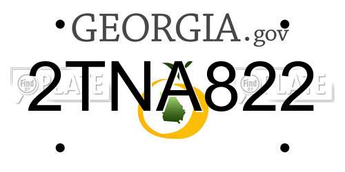 2TNA822 Georgia License Plate