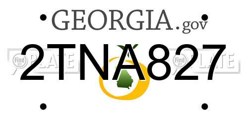 2TNA827 Georgia License Plate