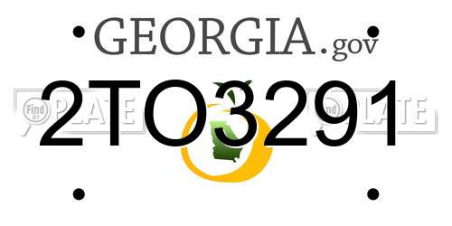 2TO3291 Georgia License Plate