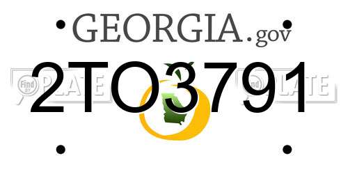 2TO3791 Georgia License Plate