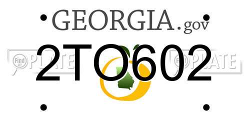 2TO602 Georgia License Plate