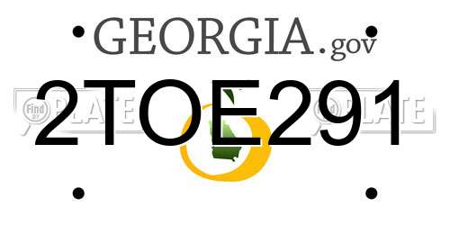 2TOE291 Georgia License Plate