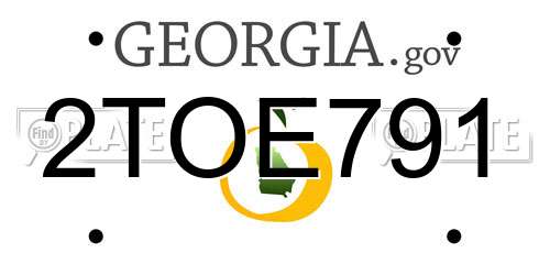 2TOE791 Georgia License Plate