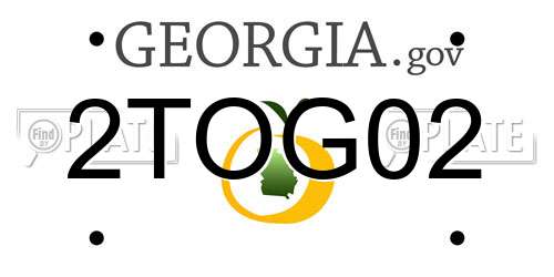 2TOG02 Georgia License Plate