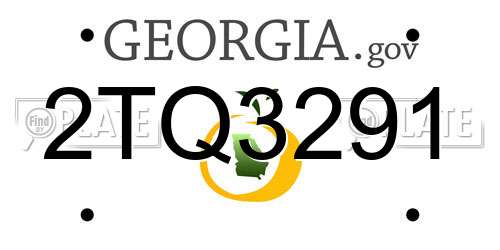 2TQ3291 Georgia License Plate