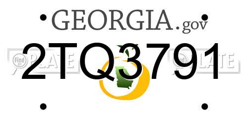 2TQ3791 Georgia License Plate