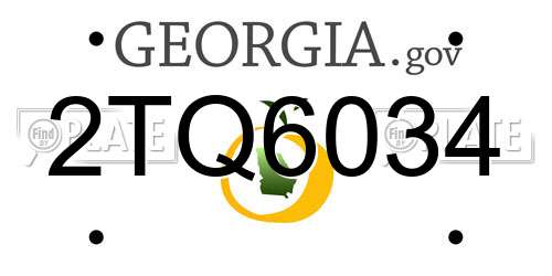 2TQ6034 Georgia License Plate