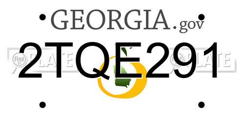 2TQE291 Georgia License Plate