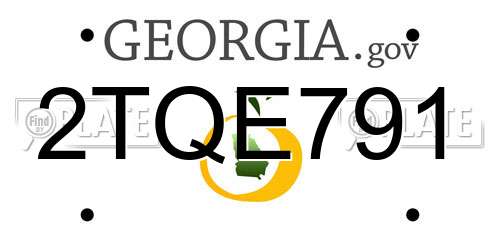 2TQE791 Georgia License Plate