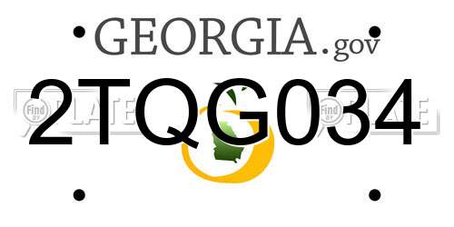 2TQG034 Georgia License Plate