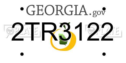 2TR3122 Georgia License Plate