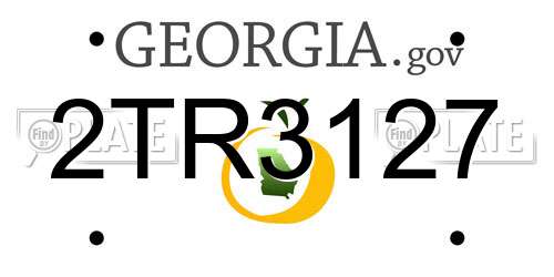 2TR3127 Georgia License Plate