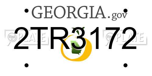 2TR3172 Georgia License Plate