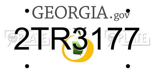 2TR3177 Georgia License Plate