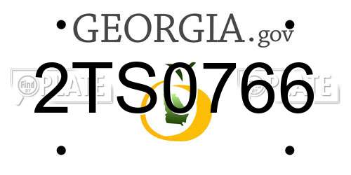 2TS0766 Georgia License Plate
