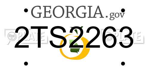 2TS2263 Georgia License Plate