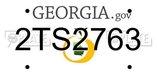 2TS2763 Georgia License Plate