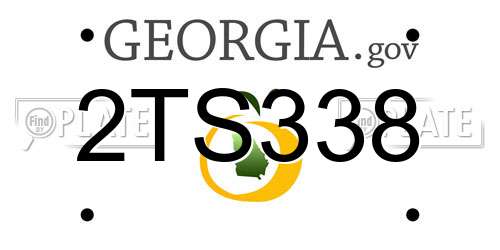 2TS338 Georgia License Plate