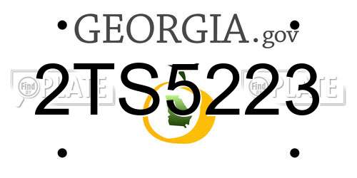 2TS5223 Georgia License Plate
