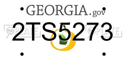 2TS5273 Georgia License Plate
