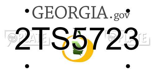 2TS5723 Georgia License Plate