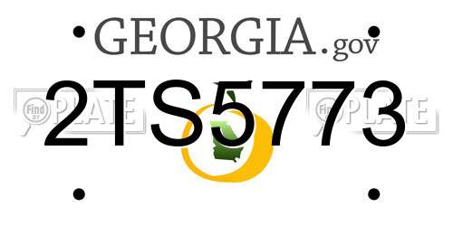 2TS5773 Georgia License Plate