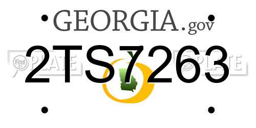 2TS7263 Georgia License Plate