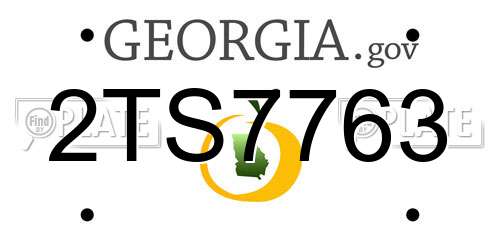 2TS7763 Georgia License Plate