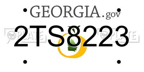 2TS8223 Georgia License Plate