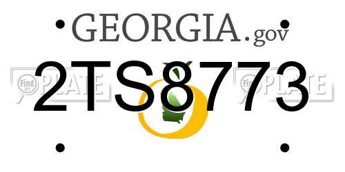 2TS8773 Georgia License Plate